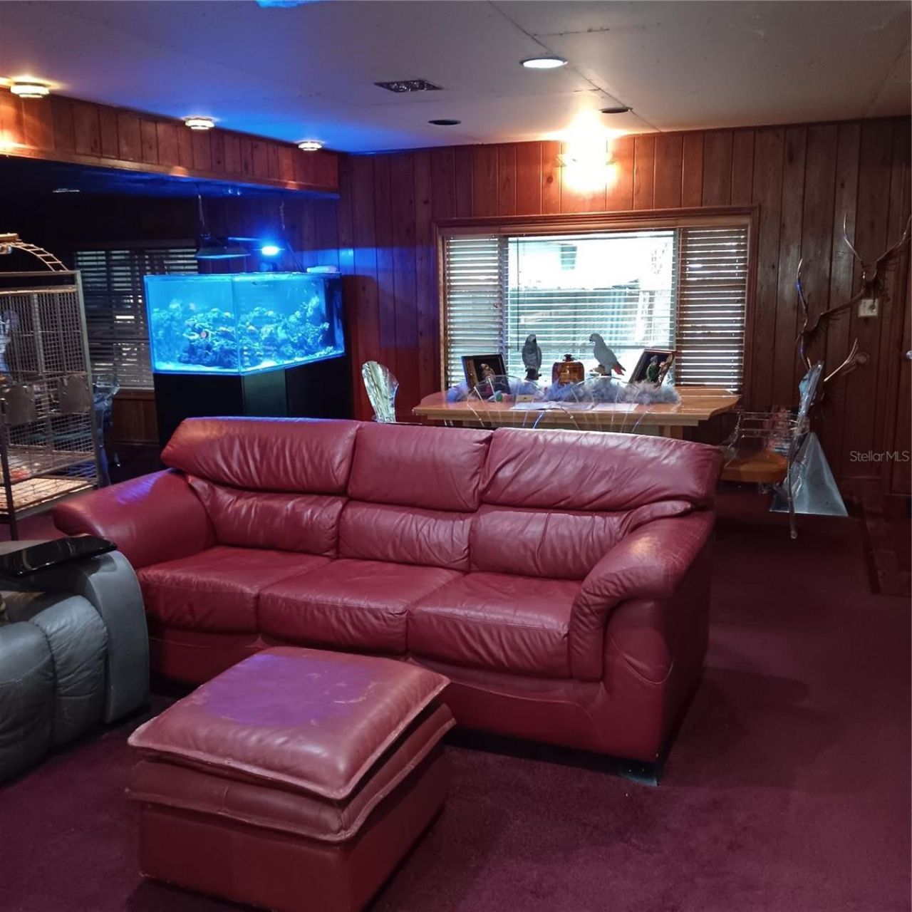 6615 New Tampa Highway, Lakeland, FL 33815 Photo