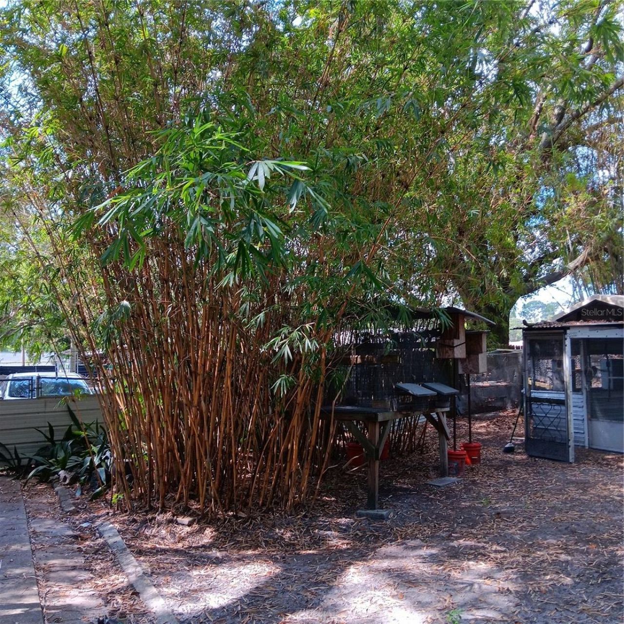 6615 New Tampa Highway, Lakeland, FL 33815 Photo