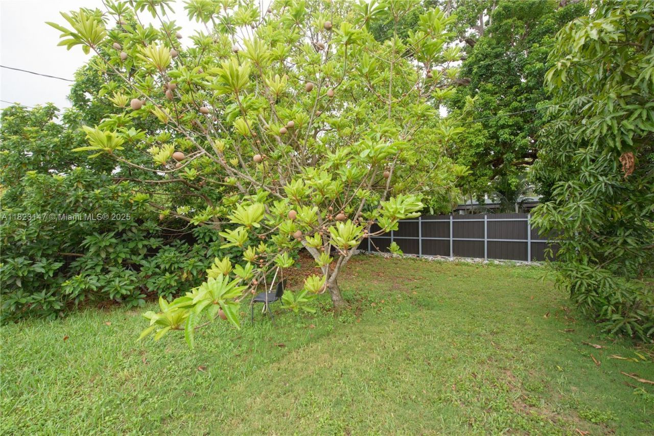 926 NW 3rd Ave, Homestead, FL 33030 Photo