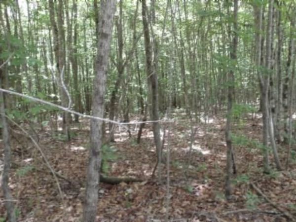 Lot 48 Parkstown Ext. Rd, Wilder, TN 38589