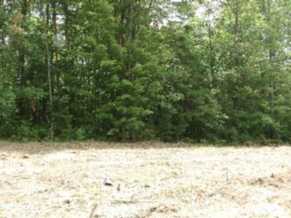 Lot 222 Hilltop Lane, Wilder, TN 38589