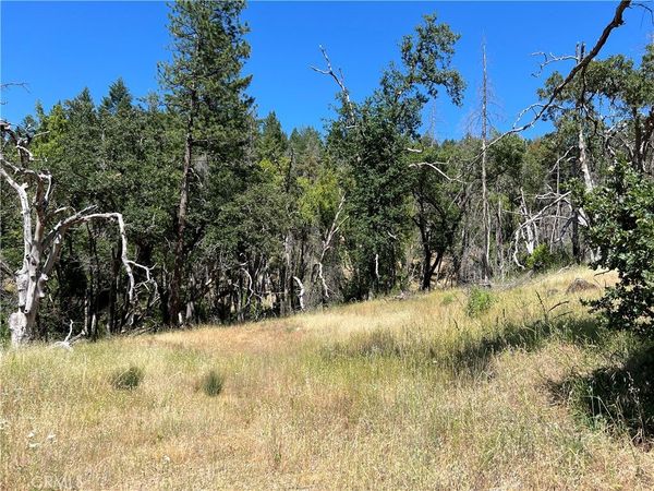 20925 Mid Mountain (17N17 USFS) Road, Upper Lake, CA 95469
