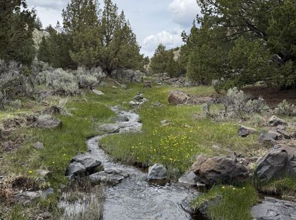 000 Wall Canyon Reservoir Road, Gerlach, NV 89412 Photo