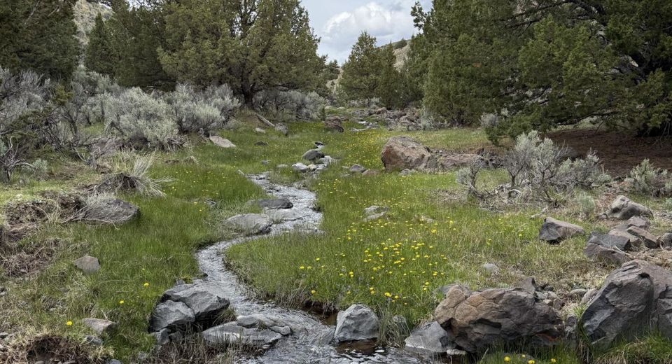 000 Wall Canyon Reservoir Road, Gerlach, NV 89412 Photo