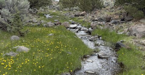 000 Wall Canyon Reservoir Road, Gerlach, NV 89412 Photo