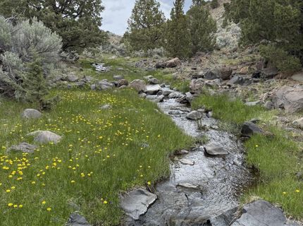 000 Wall Canyon Reservoir Road, Gerlach, NV 89412 Photo