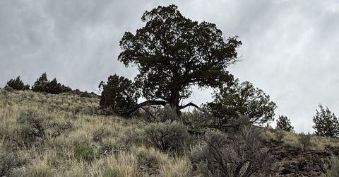 000 Wall Canyon Reservoir Road, Gerlach, NV 89412 Photo