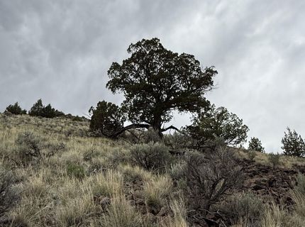 000 Wall Canyon Reservoir Road, Gerlach, NV 89412 Photo