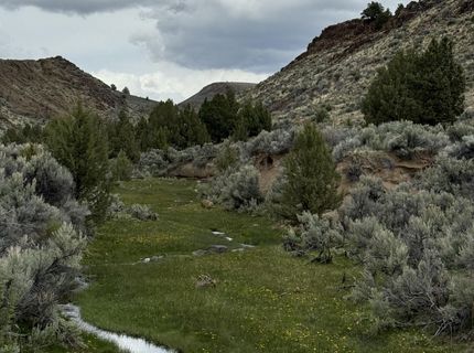 000 Wall Canyon Reservoir Road, Gerlach, NV 89412 Photo