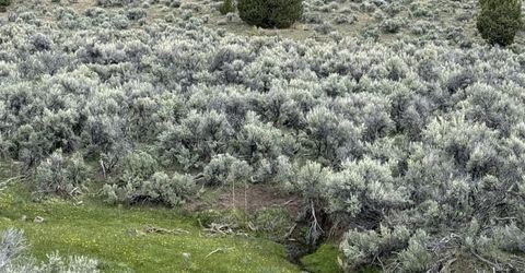 000 Wall Canyon Reservoir Road, Gerlach, NV 89412 Photo