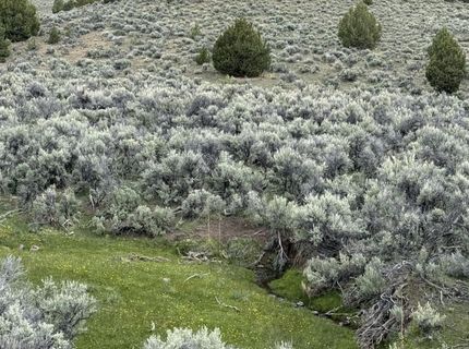 000 Wall Canyon Reservoir Road, Gerlach, NV 89412 Photo