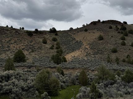 000 Wall Canyon Reservoir Road, Gerlach, NV 89412 Photo