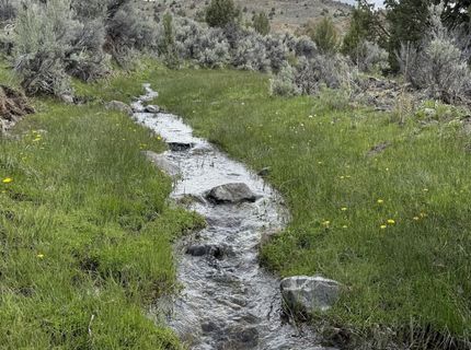 000 Wall Canyon Reservoir Road, Gerlach, NV 89412 Photo