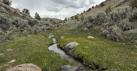 000 Wall Canyon Reservoir Road, Gerlach, NV 89412 Photo