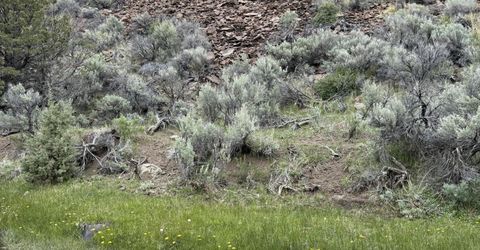 000 Wall Canyon Reservoir Road, Gerlach, NV 89412 Photo