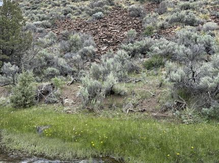 000 Wall Canyon Reservoir Road, Gerlach, NV 89412 Photo