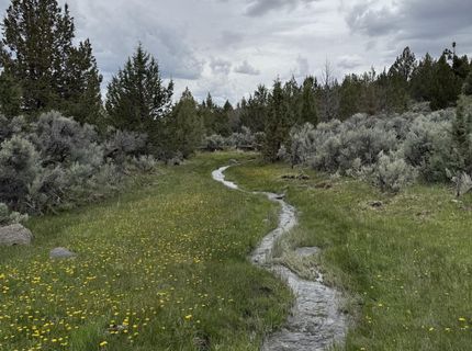 000 Wall Canyon Reservoir Road, Gerlach, NV 89412 Photo