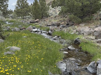 000 Wall Canyon Reservoir Road, Gerlach, NV 89412 Photo