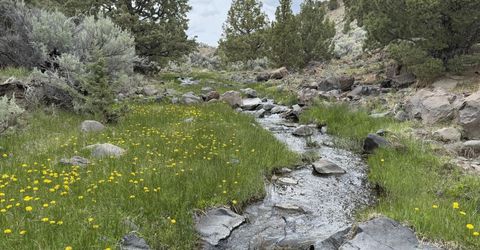 000 Wall Canyon Reservoir Road, Gerlach, NV 89412 Photo