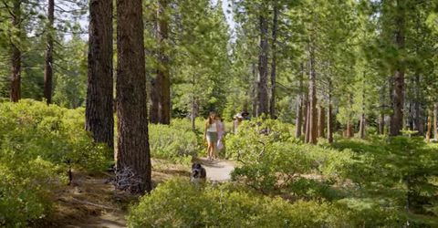 8901 Rubicon Drive, Meeks Bay, CA 96142 Photo