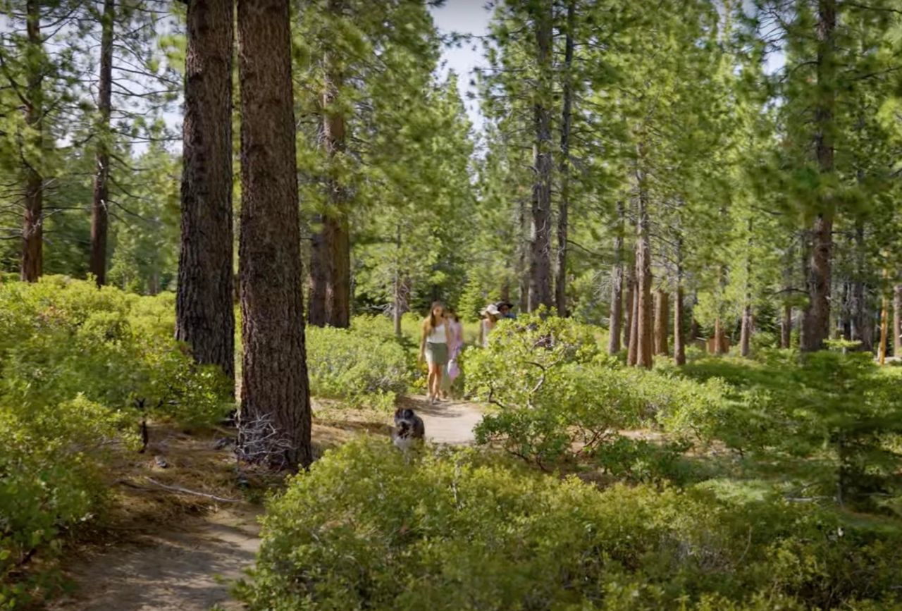 8901 Rubicon Drive, Meeks Bay, CA 96142 Photo