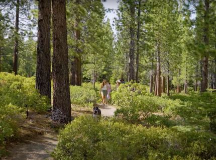 8901 Rubicon Drive, Meeks Bay, CA 96142 Photo