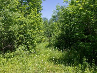 0000 N Riverside Road, Moose Lake, MN 55767