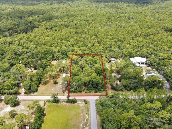 1672 S COLONIAL AVENUE, HOMOSASSA, FL 34448