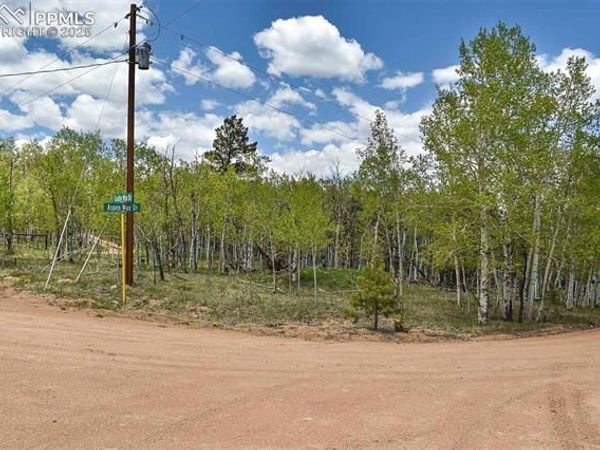 55 Aspen Way Drive, Guffey, CO 80820
