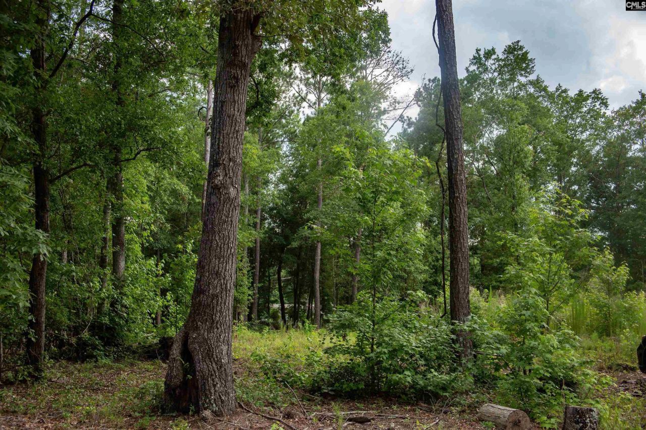 105 Dunwoody Place Photo 10