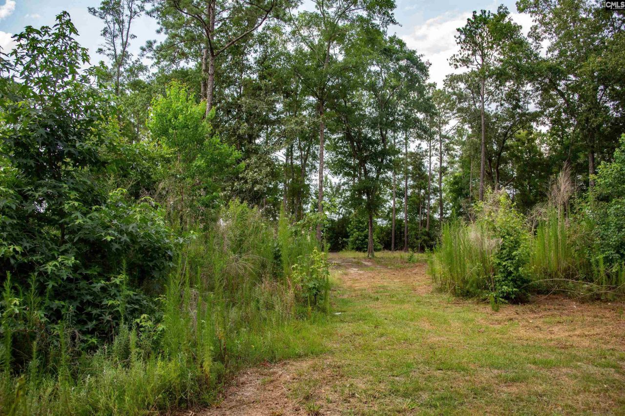 105 Dunwoody Place Photo 11