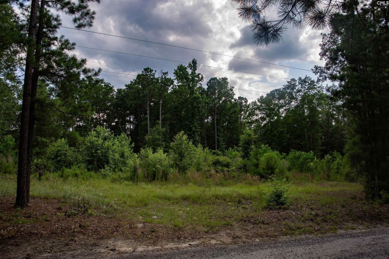 105 Dunwoody Place Photo 13