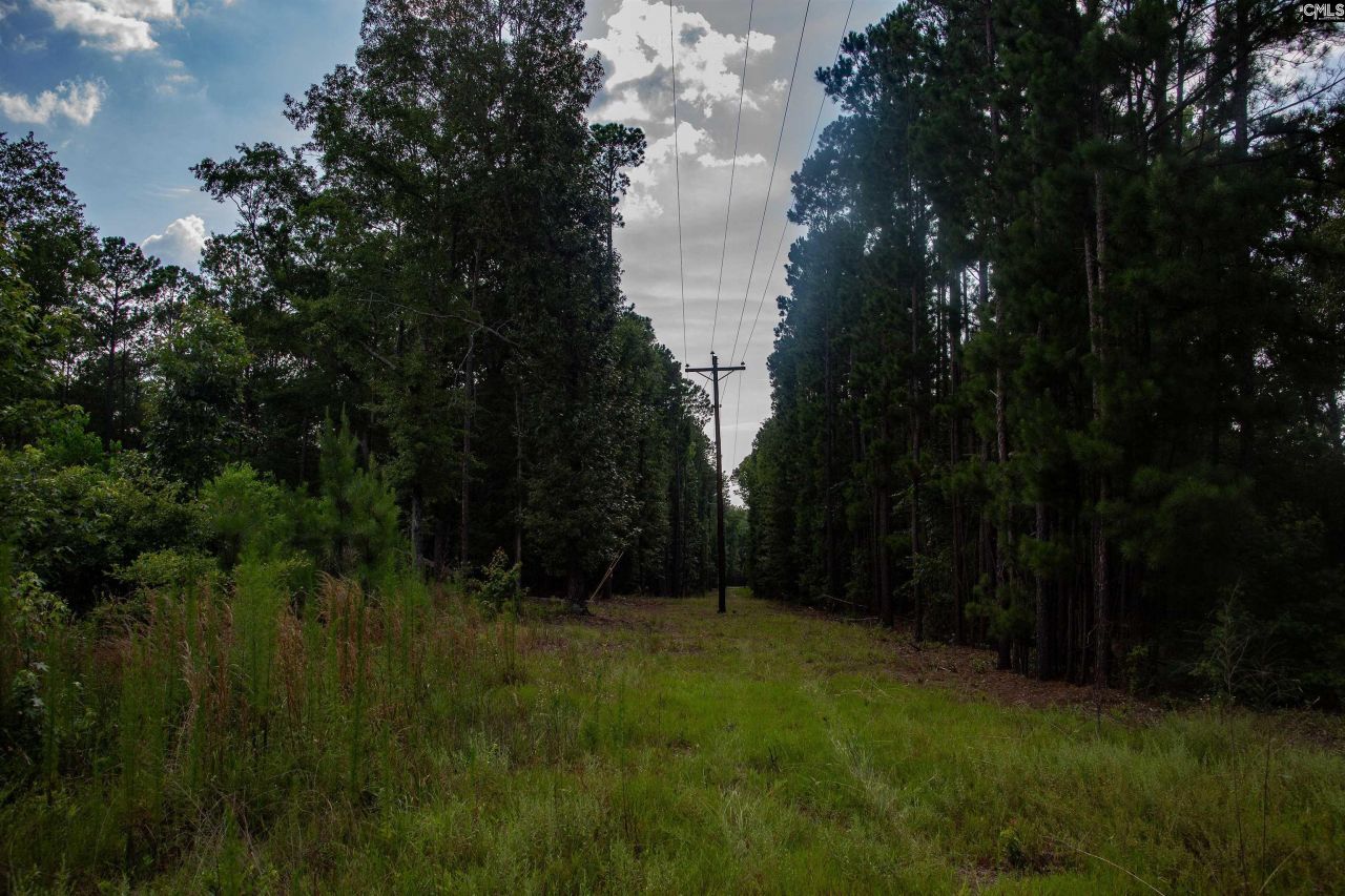 105 Dunwoody Place Photo 14