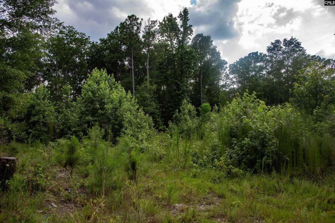 105 Dunwoody Place Photo 15