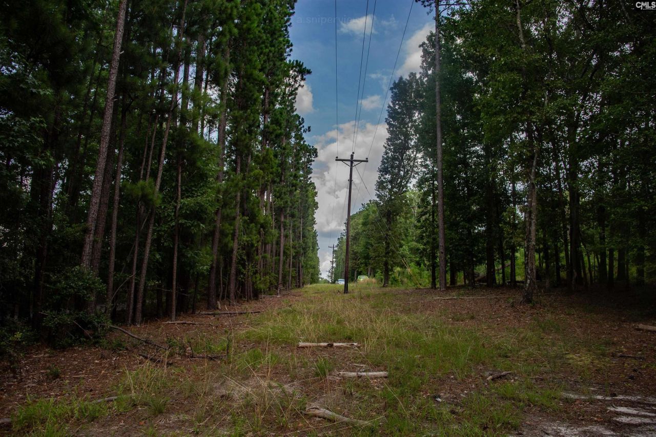 105 Dunwoody Place Photo 16