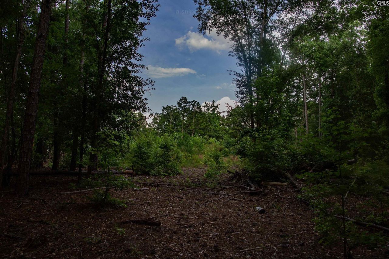 105 Dunwoody Place Photo 17