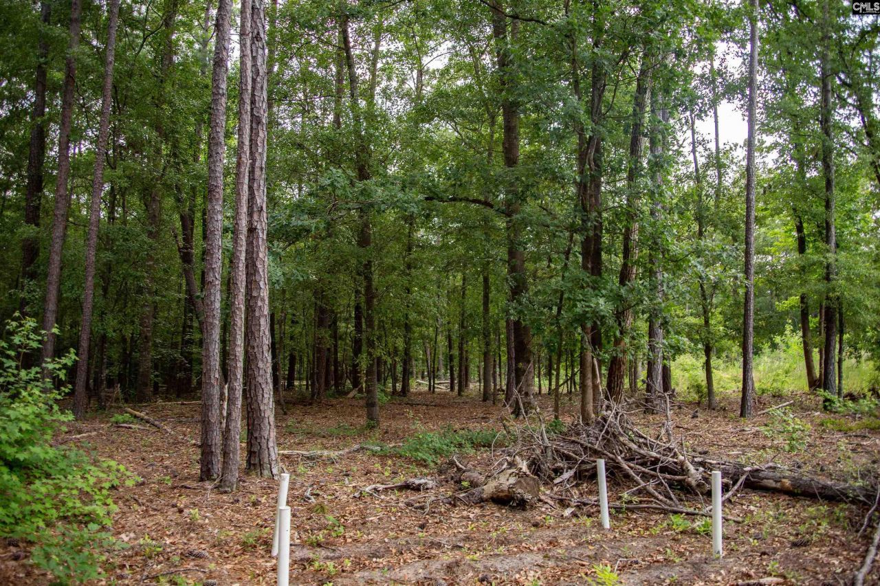 105 Dunwoody Place Photo 18