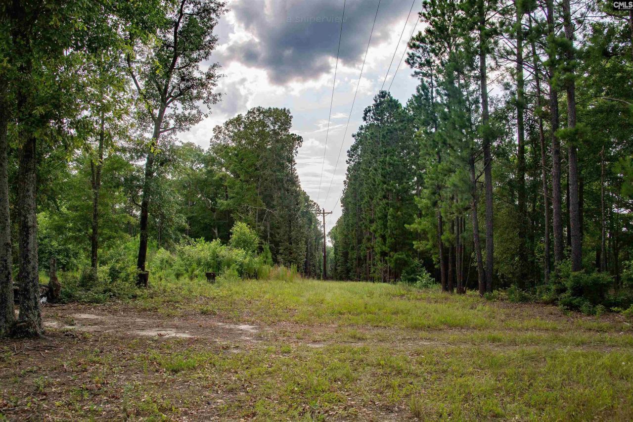 105 Dunwoody Place Photo 19