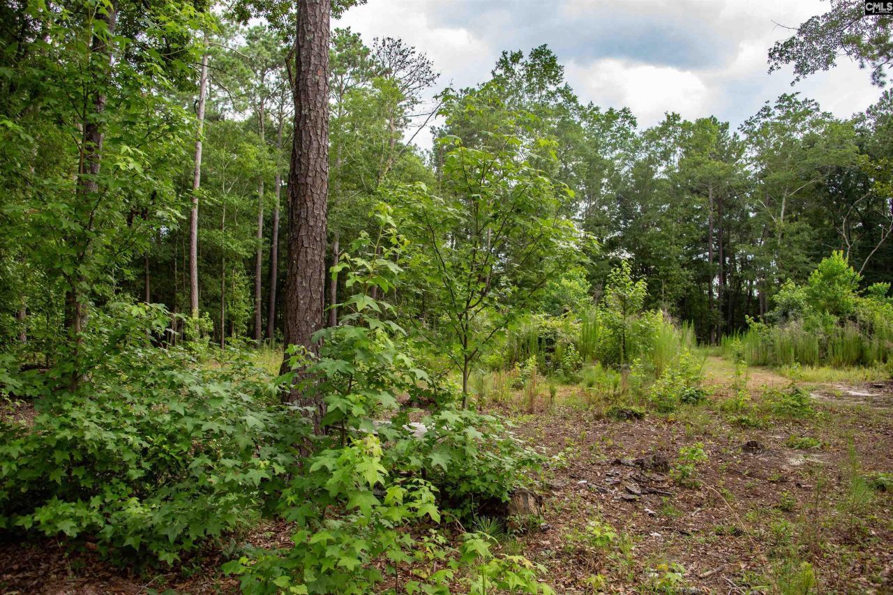 105 Dunwoody Place Photo 20