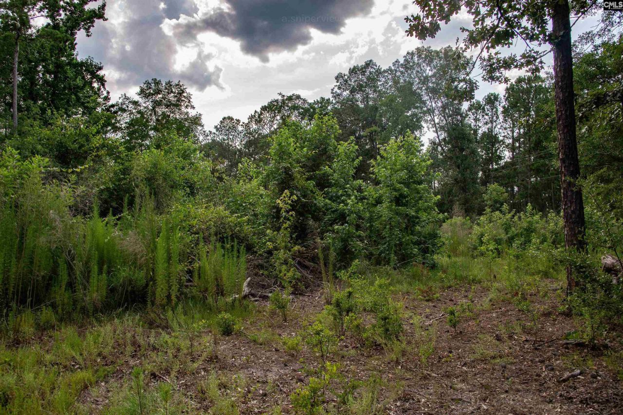 105 Dunwoody Place Photo 21