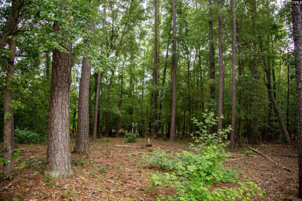 105 Dunwoody Place Photo 22