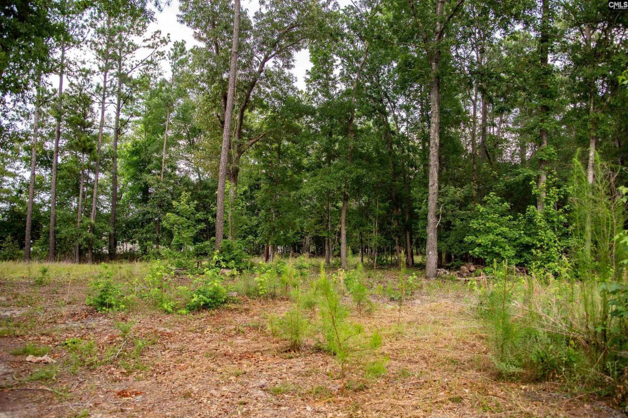 105 Dunwoody Place Photo 23