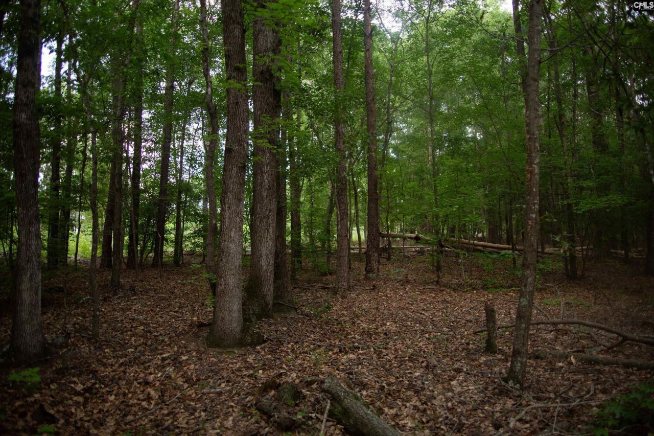 105 Dunwoody Place Photo 24