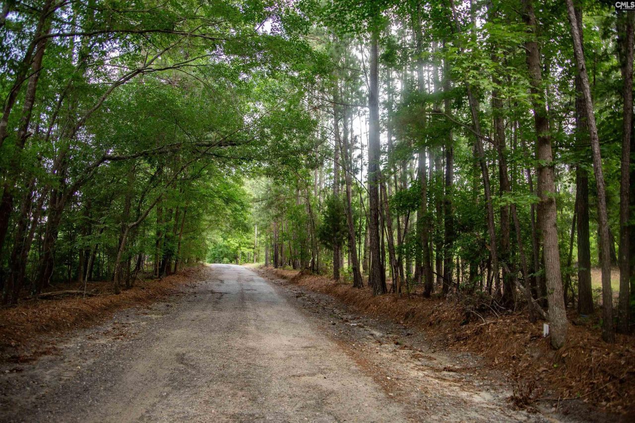 105 Dunwoody Place Photo 5