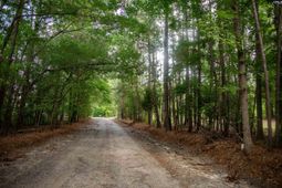 105 Dunwoody Place photo 4