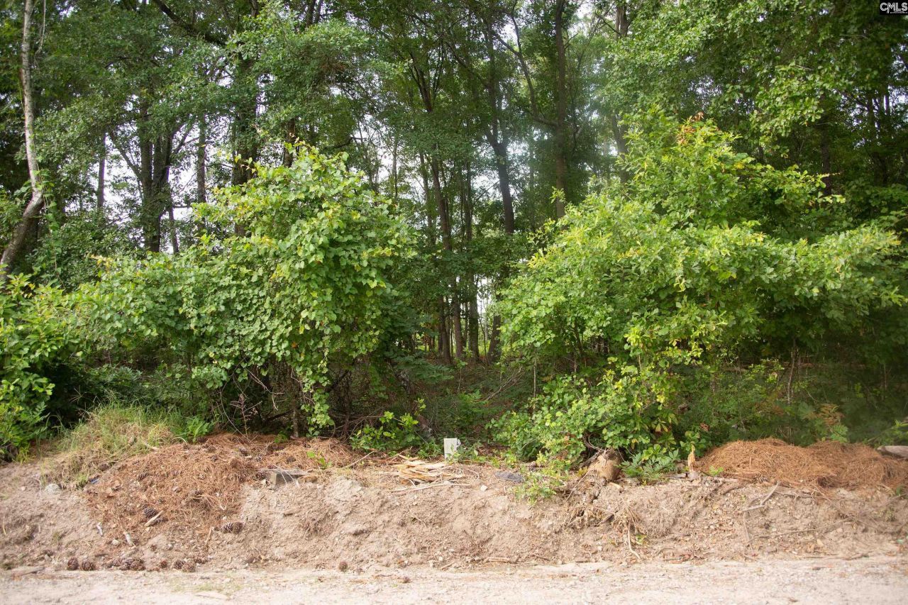 105 Dunwoody Place Photo 6