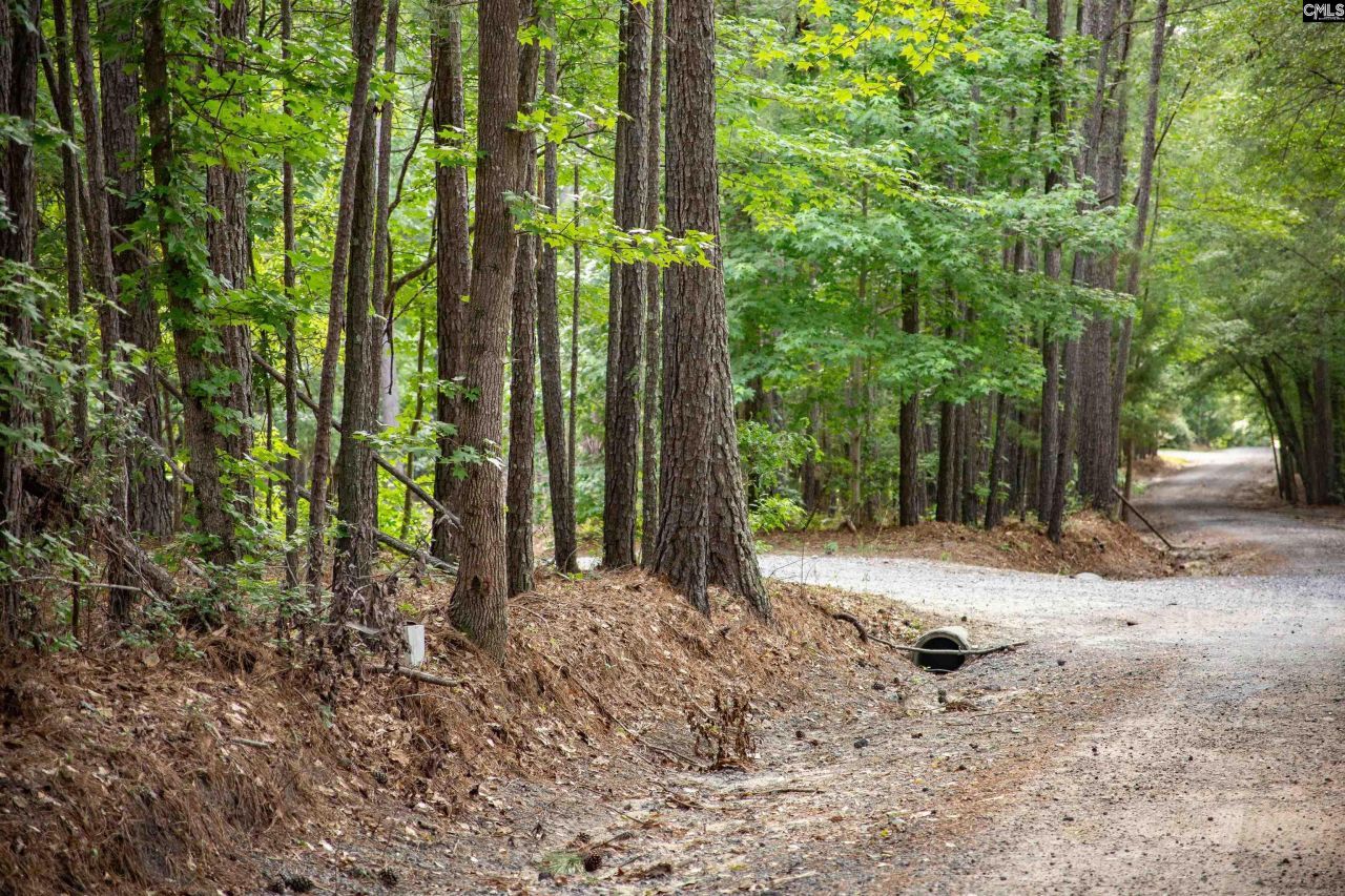 105 Dunwoody Place Photo 7