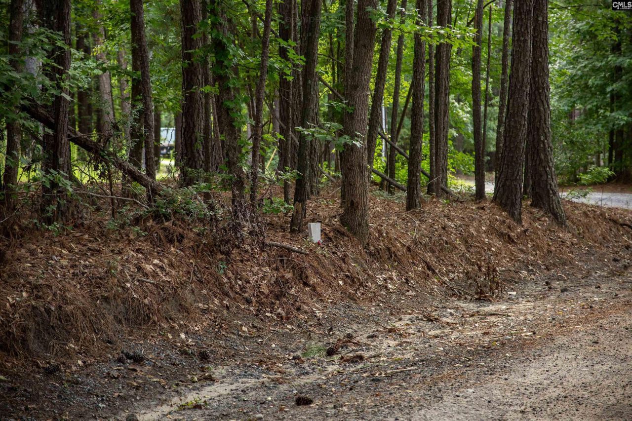 105 Dunwoody Place Photo 8