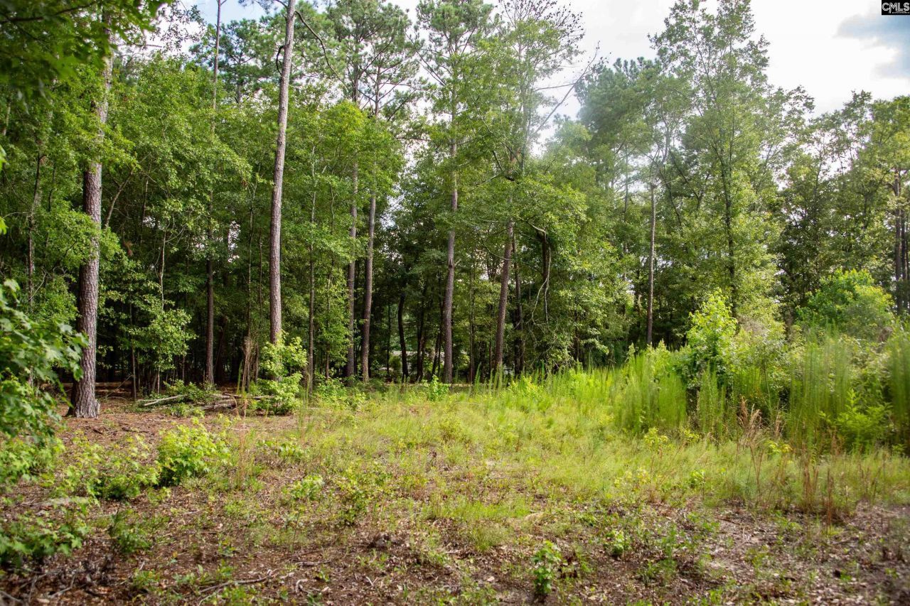 105 Dunwoody Place Photo 9