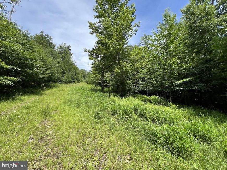 Off Tuscan Ridge Rd, Davis, WV 26260 Main Photo